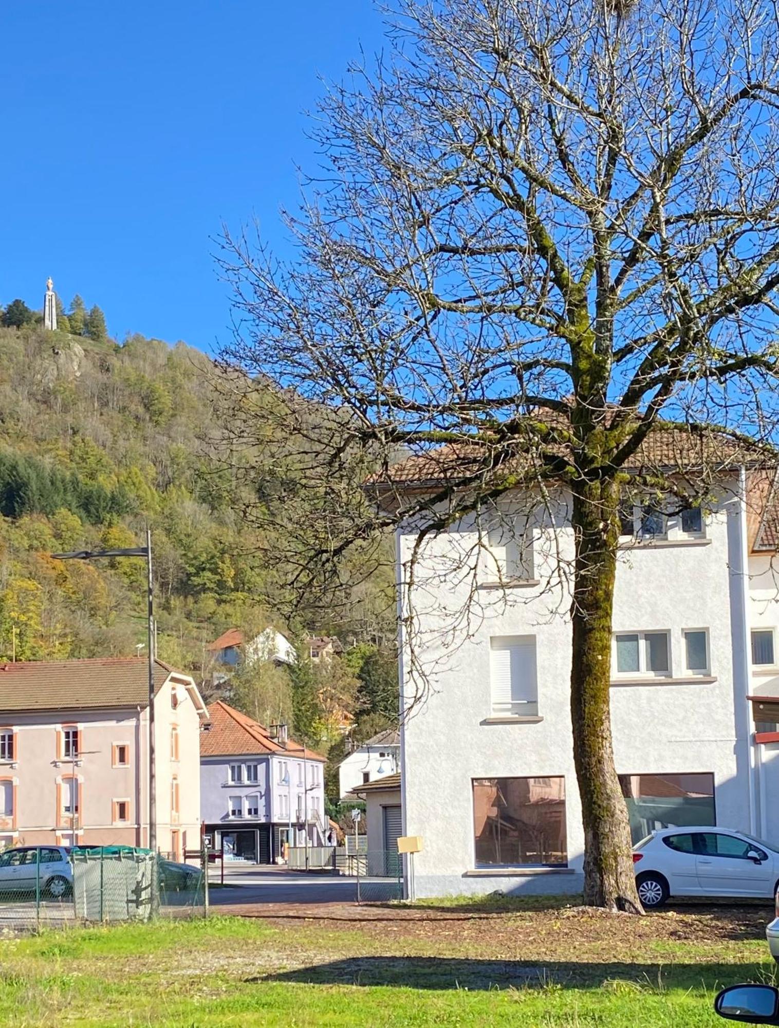 Grand'Roche Apartment Cornimont Bagian luar foto